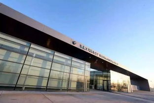 长城宝马是假,长城mini才是真的 不建新网的表态能让华晨放心吗