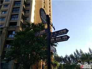 对面就是海花岛,成熟小区,