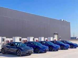 新能源汽车销量持续暴跌,比这更可怕的是消费者信心的缺失