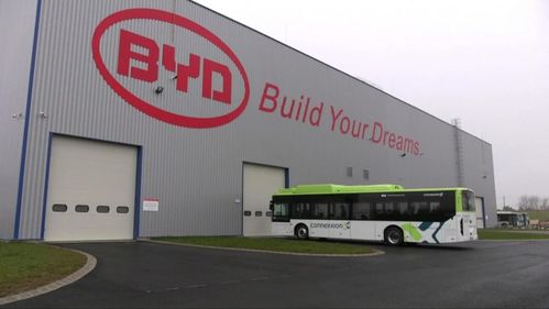 中国车出海 去欧美日还是亚非拉