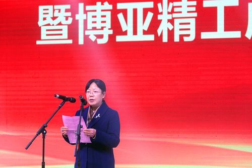 襄阳博亚精工装备股份举行精密装备智能化项目开工暨博亚精工成立二十周年庆典