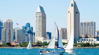 让无数女明星疯狂冻卵之旅,女人一生送给自己的最好礼物