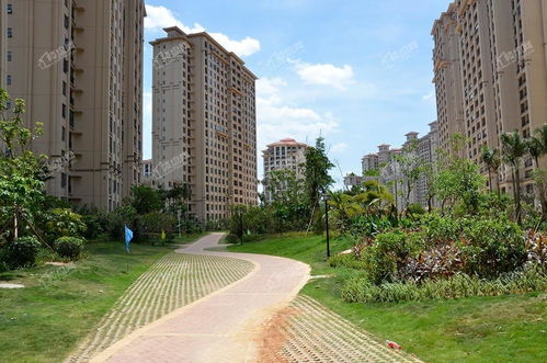 海南中南西海岸效果图 实景图 样板间